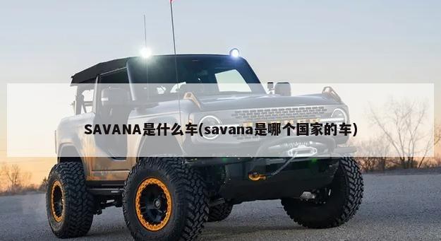 SAVANA是什么车(savana是哪个国家的车)-第1张图片