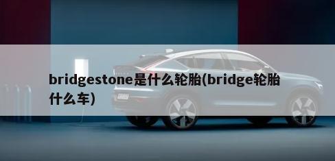 bridgestone是什么轮胎(bridge轮胎 什么车)-第1张图片