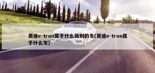 奥迪e-tron属于什么级别的车(奥迪e-tron属于什么车)-第1张图片