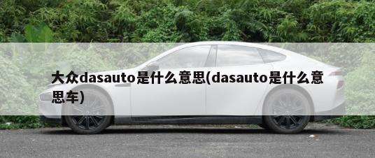 大众dasauto是什么意思(dasauto是什么意思车)-第1张图片