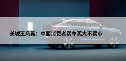 长城王凤英：中国消费者买车买大不买小        -第1张图片