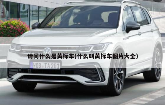 汽车pcl是什么键 汽车pcl是什么意思