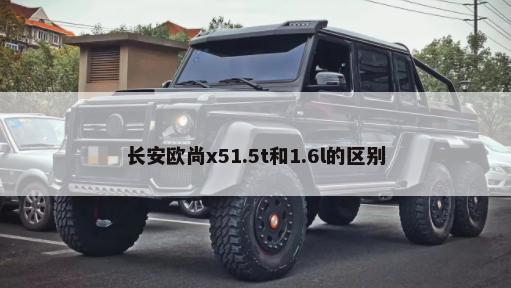 熊牌轮胎国内哪个厂生产(熊牌轮胎生产地)