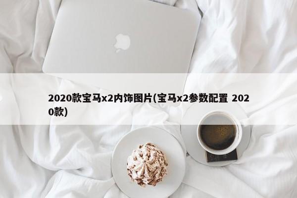 2020款宝马x2内饰图片(宝马x2参数配置 2020款)-第1张图片