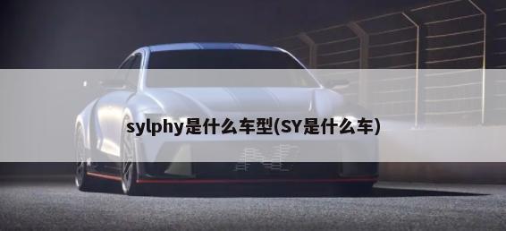 汽车sa指什么 汽车sa指的是什么