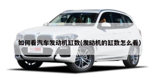 大众polo后保险杠(大众polo前保险杠是塑料的吗)