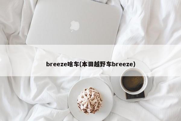 breeze啥车(本田越野车breeze)-第1张图片