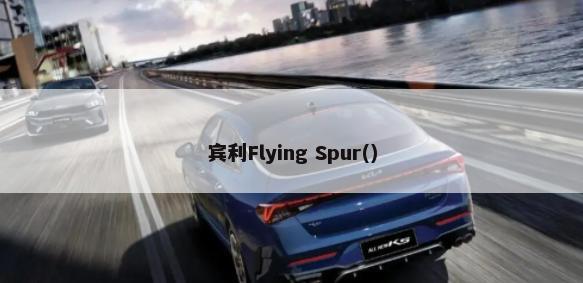 宾利Flying Spur()-第1张图片