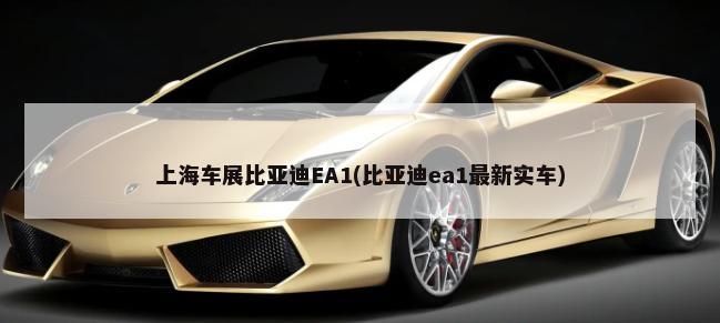 上海车展比亚迪EA1(比亚迪ea1最新实车)-第1张图片