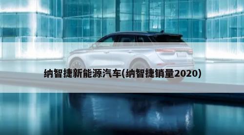 纳智捷新能源汽车(纳智捷销量2020)-第1张图片