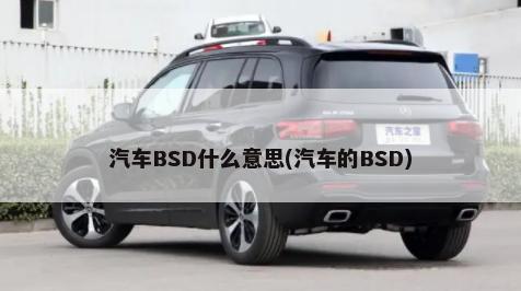 汽车BSD什么意思(汽车的BSD)-第1张图片