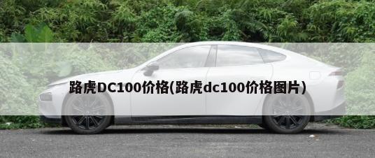 路虎DC100价格(路虎dc100价格图片)-第1张图片