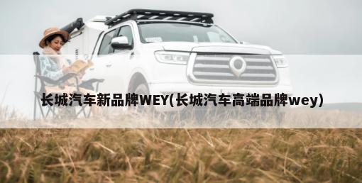 flac是什么格式(hires和flac是什么)