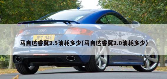 丰田海拉克斯3.0柴油中国售价(2020款丰田海拉克斯柴油版哪里有卖)