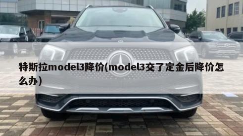 特斯拉model3降价(model3交了定金后降价怎么办)-第1张图片