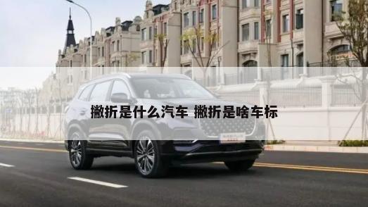 撇折是什么汽车 撇折是啥车标-第1张图片