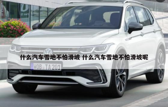 什么汽车雪地不怕滑坡 什么汽车雪地不怕滑坡呢-第1张图片