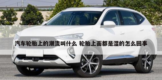 汽车轮胎上的潮流叫什么 轮胎上面都是湿的怎么回事-第1张图片
