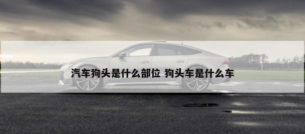 什么品牌汽车墨镜好用 什么品牌汽车墨镜好用又实惠