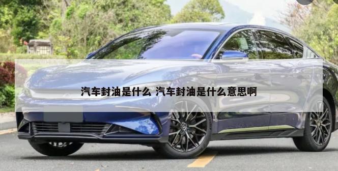 汽车后镜有什么用 车后镜是什么镜