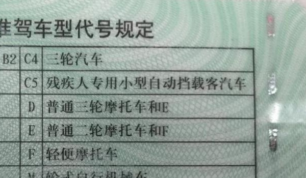 杭州c5驾照在哪个驾校可以报名，唐山c5驾照在哪个驾校可以报名-第3张图片