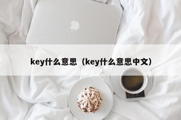 key什么意思（key什么意思中文）-第1张图片