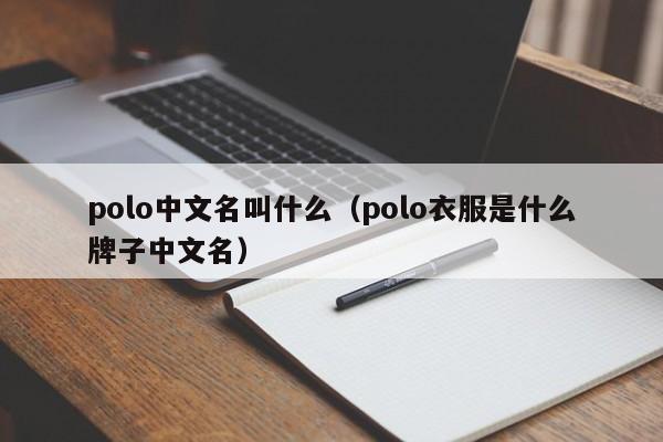polo中文名叫什么（polo衣服是什么牌子中文名）-第1张图片