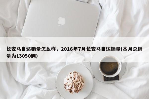 2015年12月江淮销量,江淮瑞风S3(本月销售为25837辆)