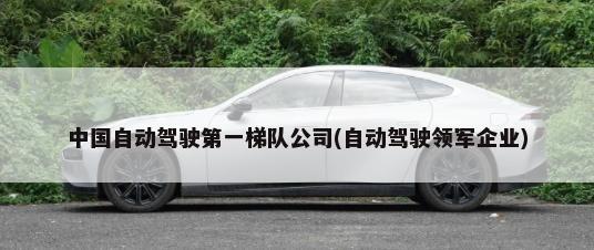 中国自动驾驶第一梯队公司(自动驾驶领军企业)-第1张图片
