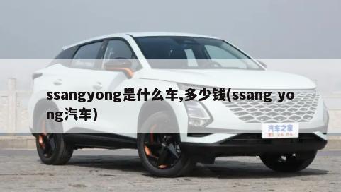 ssangyong是什么车,多少钱(ssang yong汽车)-第1张图片