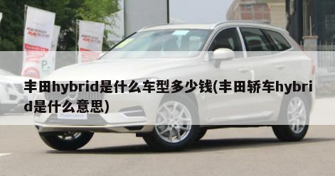 丰田hybrid是什么车型多少钱(丰田轿车hybrid是什么意思)-第1张图片
