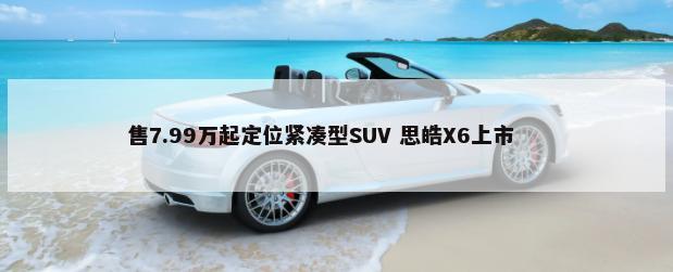 售7.99万起定位紧凑型SUV 思皓X6上市        -第1张图片