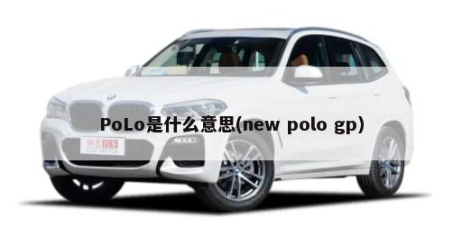 PoLo是什么意思(new polo gp)-第1张图片