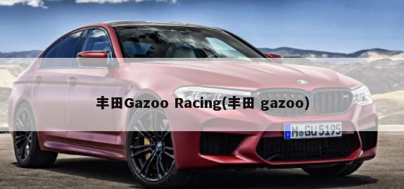 丰田Gazoo Racing(丰田 gazoo)-第1张图片