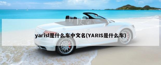 yarisl是什么车中文名(YARIS是什么车)-第1张图片