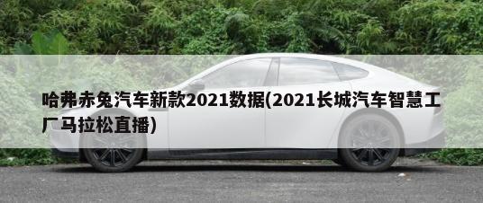 哈弗赤兔汽车新款2021数据(2021长城汽车智慧工厂马拉松直播)-第1张图片