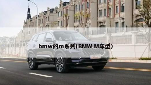 bmw的m系列(BMW M车型)-第1张图片
