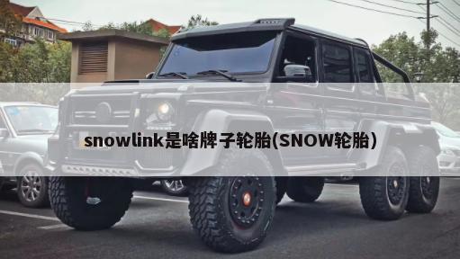 snowlink是啥牌子轮胎(SNOW轮胎)-第1张图片