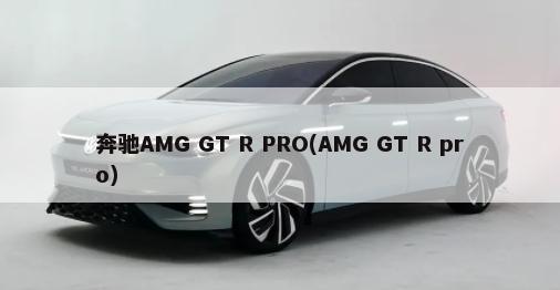 奔驰AMG GT R PRO(AMG GT R pro)-第1张图片