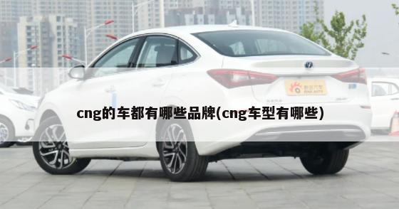 cng的车都有哪些品牌(cng车型有哪些)-第1张图片