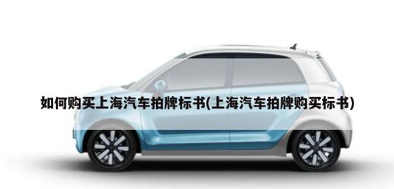 如何购买上海汽车拍牌标书(上海汽车拍牌购买标书)-第1张图片