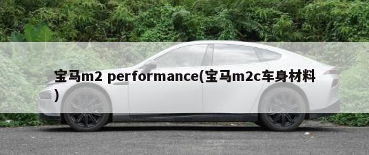 宝马m2 performance(宝马m2c车身材料)-第1张图片