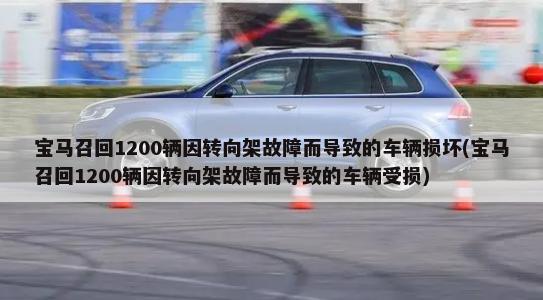 外地驾驶证可以在上海年审吗(外地人在上海驾驶证审证换证)
