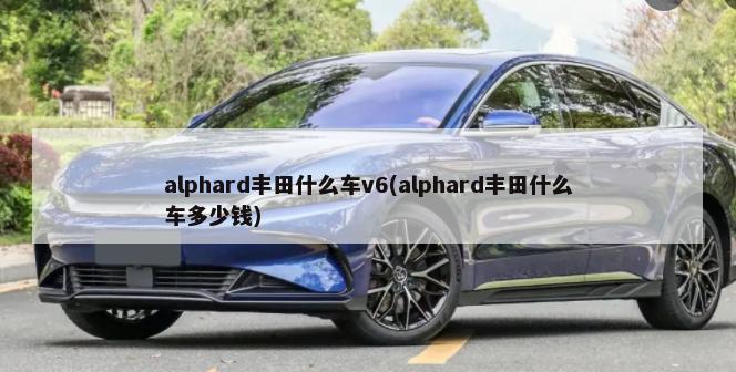 alphard丰田什么车v6(alphard丰田什么车多少钱)-第1张图片
