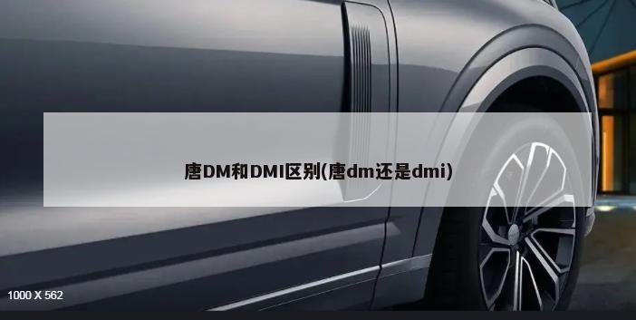 唐DM和DMI区别(唐dm还是dmi)-第1张图片