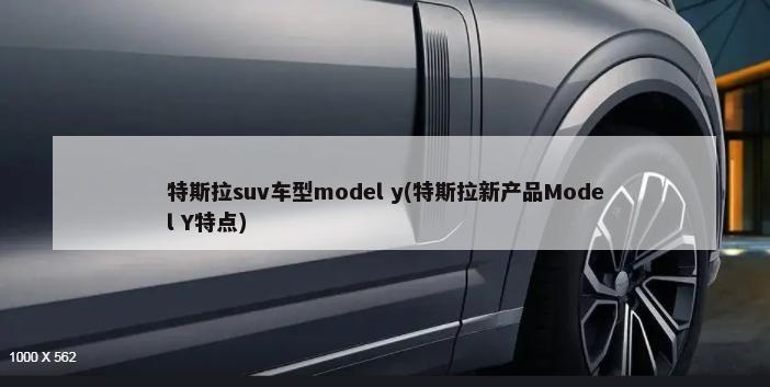 特斯拉suv车型model y(特斯拉新产品Model Y特点)-第1张图片