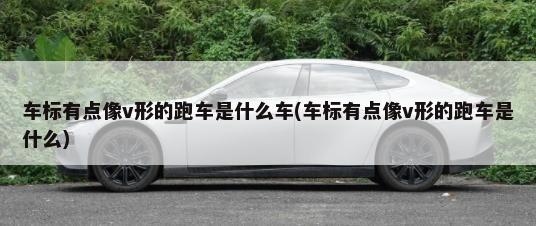 广州车牌拍卖需要什么条件(我有广州的车牌可以放出来拍卖吗)