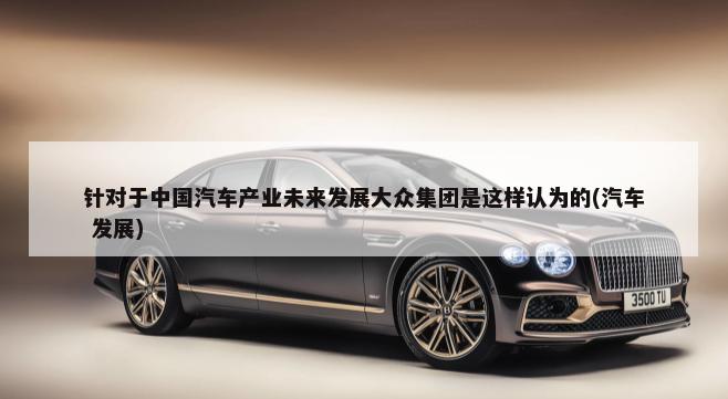 针对于中国汽车产业未来发展大众集团是这样认为的(汽车 发展)-第1张图片